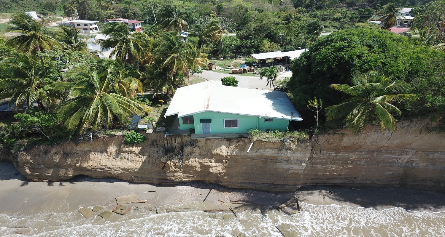 mayaro-(4).JPG