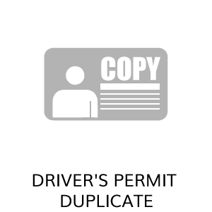 COPYDriver-s-Permit-duplicate.png COPYDriver-s-Permit-duplicate.png