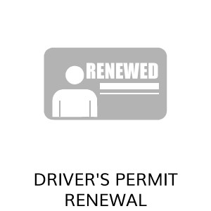 Driver-s-Permit-renewed.png