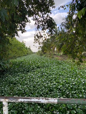 Muller-Canal-West-Before-(1).jpeg